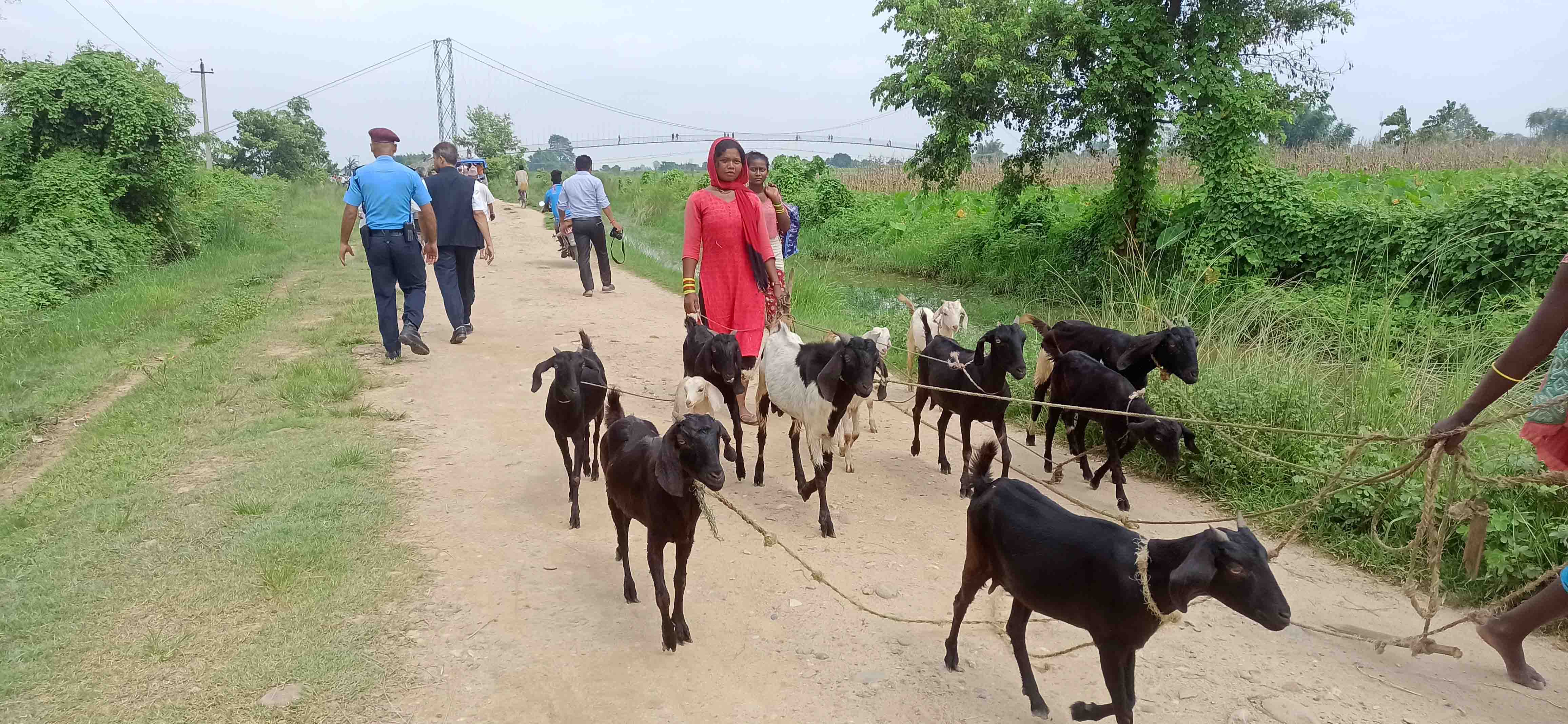 Bhagalpur 21659545020.jpg